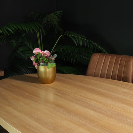 Eettafel Tommy ovaal 240cm lichtbruin melamine