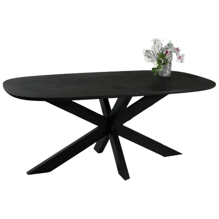 Eettafel Austin deens ovaal 180cm zwart mangohout