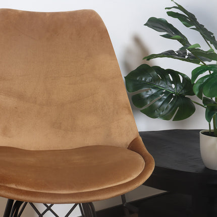 Eetkamerstoel bruin velvet Viga