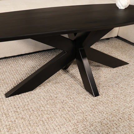 Salontafel deens ovaal mangohout 120cm zwart Livy