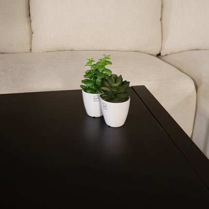 Salontafel vierkant zwart mangohout 90cm Violet