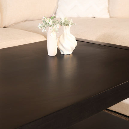 Salontafel rechthoekig zwart mangohout 120cm Lotus