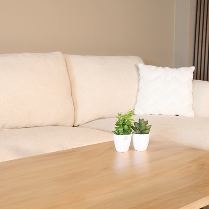 Salontafel x-poot mangohout 130cm lichtbruin Pato