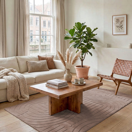 Vloerkleed Japandi taupe 160x230cm