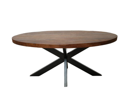 Eettafel ovaal mangohout 200cm James walnoot bruin ovale industriële tafel duurzaam mango eetkamertafel